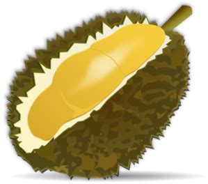 Gunakan durian png gratis ini untuk desain web, desain dtp, selebaran, proposal, proyek sekolah, poster, dan lainnya. Durian Clip Art at Clker.com - vector clip art online ...