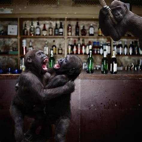 Check spelling or type a new query. 'Monkey Bar (Drunk Monkeys) Art Poster Print' Prints ...