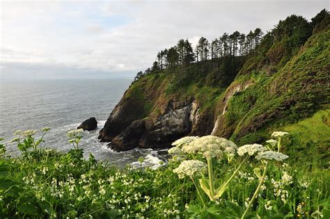 Rocky Shoreline Of Washington State Flickr Photo Sharing