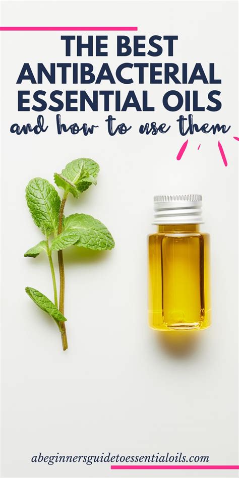 The Best Antibacterial Essential Oils And How To Use Them Antibacterial