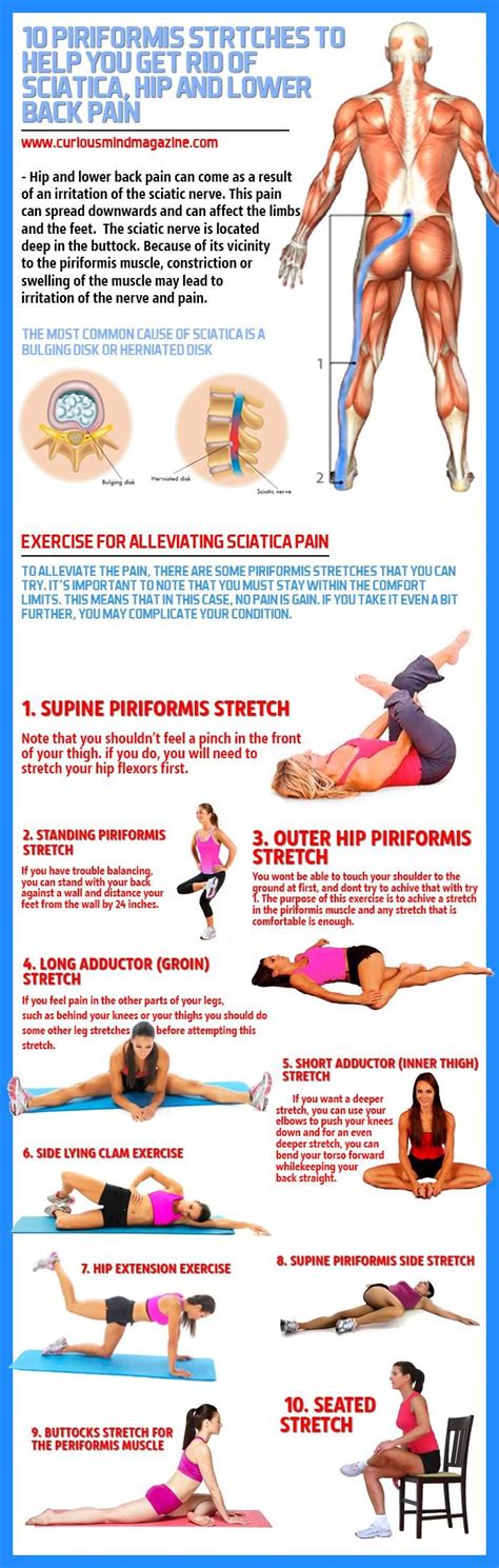 10 Piriformis Stretches To Help You Get Rid Of Sciatica Hip And Lower Back Pain