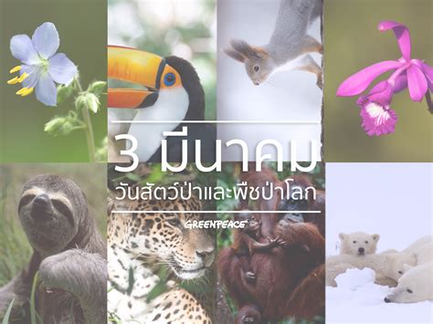 นก ถก โลก อาหาร ได แรก