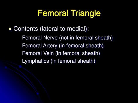 Ppt Thigh And Femoral Triangle Powerpoint Presentation Free Download