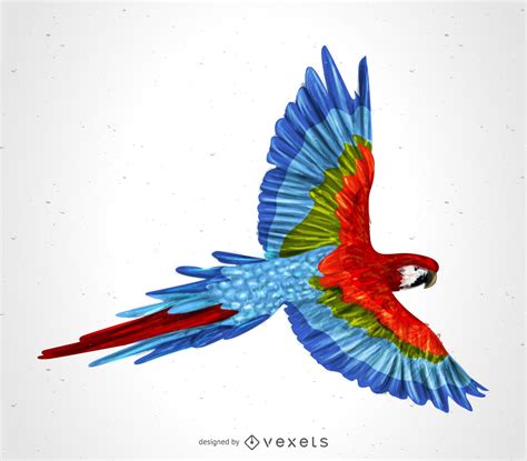 Parrot Vector And Graphics To Download