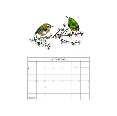 Native Birds Calendar 2022 Shop All Lifestyle Products At The Vault