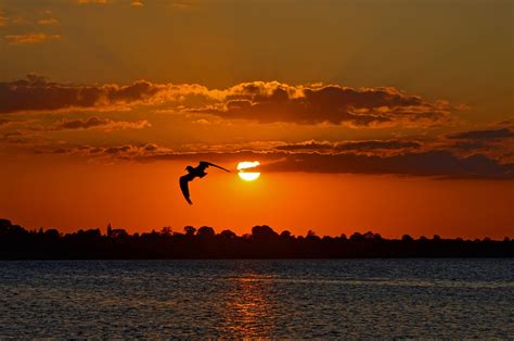Evening Sun Baltic Sea Sunset Free Photo On Pixabay Pixabay