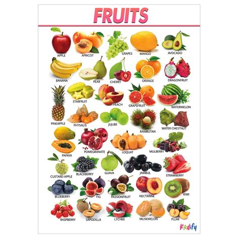 Fruits And Vegetables Educational Wall Chart And Kids Learning Materials