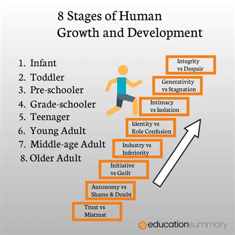 8 Stages Of Human Growth And Development From Infancy To Adulthood Education Summary