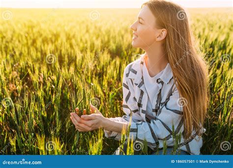 Girl Is Sitting In A Wheat Field Picking Wheat Spikelets Against The
