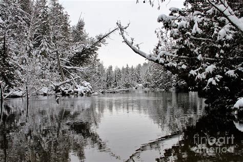 Snowy River Reflections Photograph By Teresa Mcgill Fine Art America