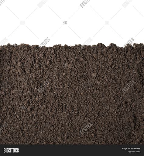 Soil Dirt Section Image And Photo Free Trial Bigstock