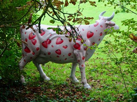 Strawberry Cow Par1 Blipfoto
