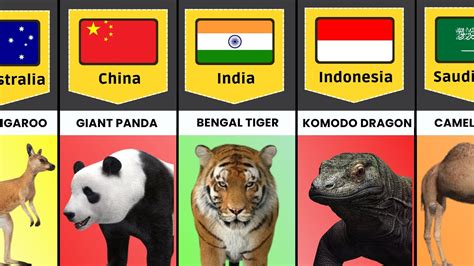 National Animals From Different Countries Part 1 Youtube