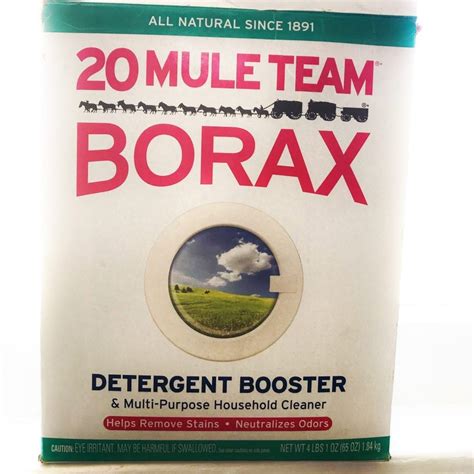 Borax Cures And Health Benefits Earth Clinic®