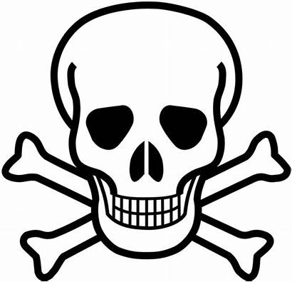 Skull Coloring Pages Cross Toxins Pirate Face