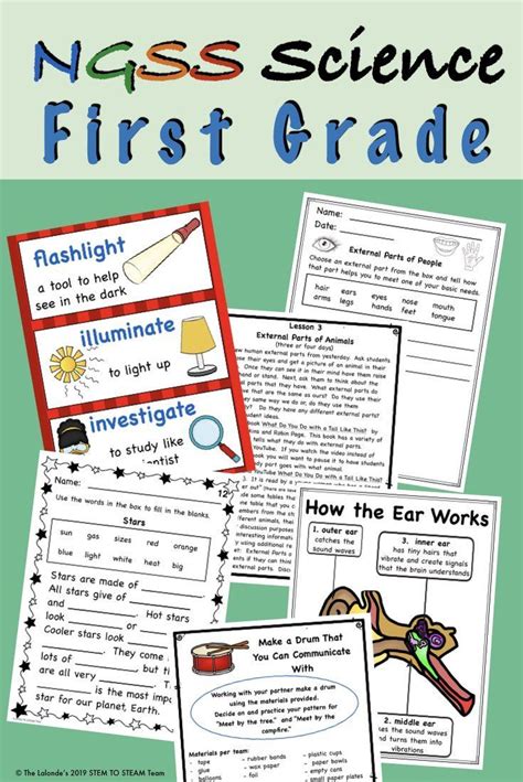 The Science First Grade Worksheet With Pictures And Text