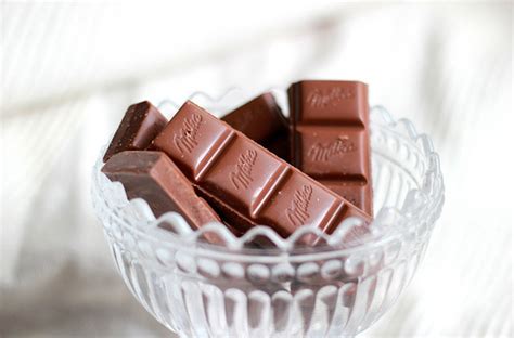 chocolate chocolate photo  fanpop