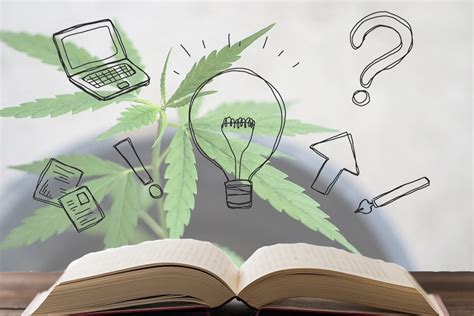 cbdと大麻について知る！おすすめの本と動画 kohey nishi s cbd online shop