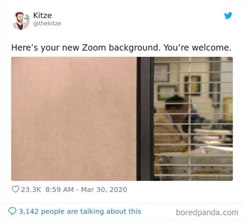 Funniest Zoom Backgrounds Reddit