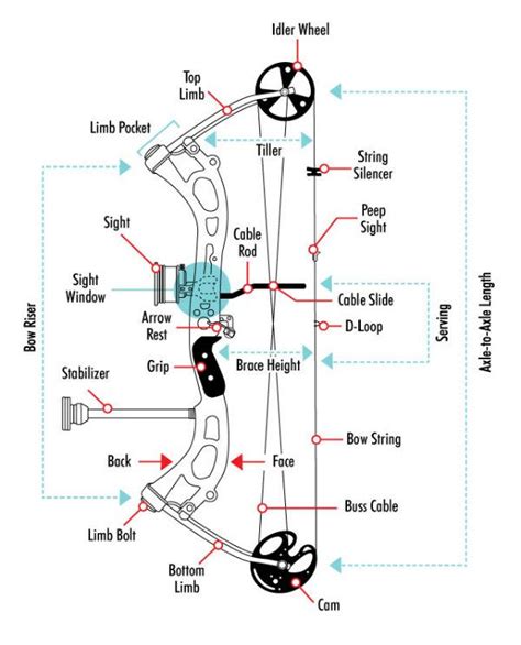 A Basic Guide To The Parts Of A Bow Compound Bow Archery Archery Bows