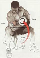 Images of Workout Exercises For Biceps