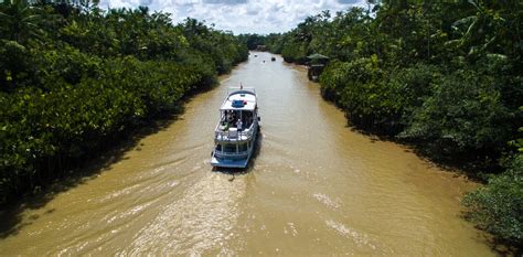 Book A Cruise In The Amazon To Explore The Breathtaking Jungle