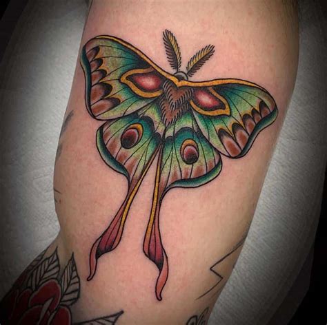 Synthesize 54 Images About Neo Traditional Moth Tattoo Just Updated