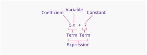 What Is Term Definition Facts And Example