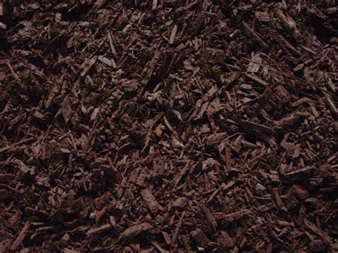 Beneficial Mulching And Types Of Mulch You Should Never Use Debs