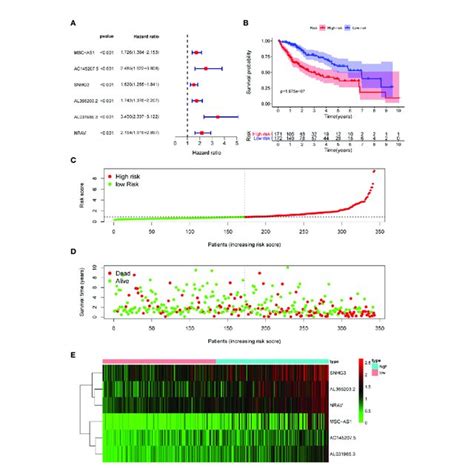 ssgsea analysis of six immune related lncrnas and expression level of download scientific
