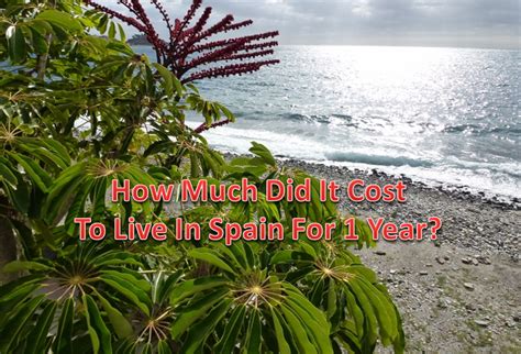 The only number publicly made available are births and deaths overseas, as well as citizenship renunciation. The Cost of Living in Spain for 1 year - American Expat in ...