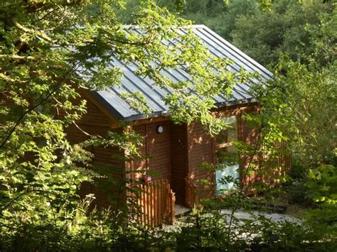 Cabin 11 Picture Of Forest Holidays Deerpark Cornwall