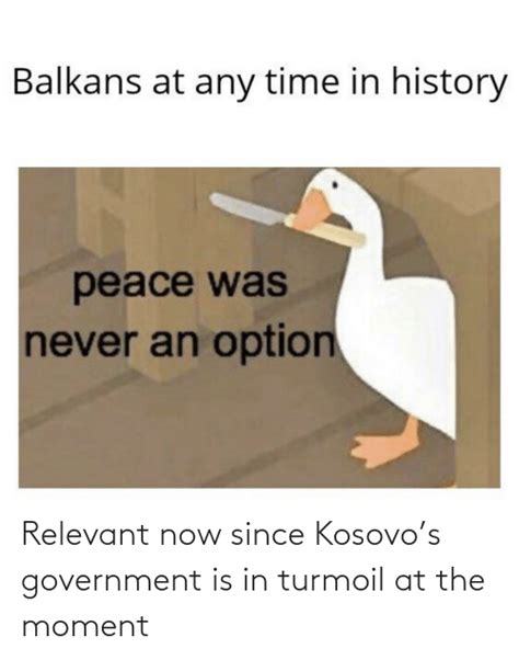 Relevant Now Since Kosovos Government Is In Turmoil At The Moment