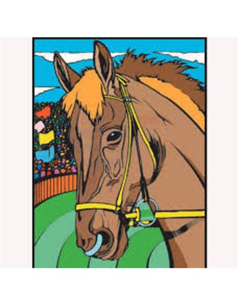 Kleurplaat uit de categorie 'paarden kleurplaten'. Colorvelvet kleurplaat Paard - KBZ-Kampen