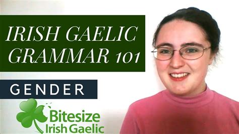 irish gaelic grammar 101 gender irish gaelic irish language gaelic