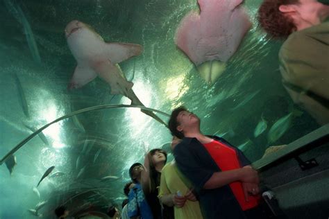 In Pictures A Look Back At Underwater World Singapore Photos News