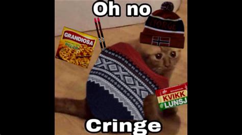 Oh No Cringe Cat Norwegian Edition Youtube