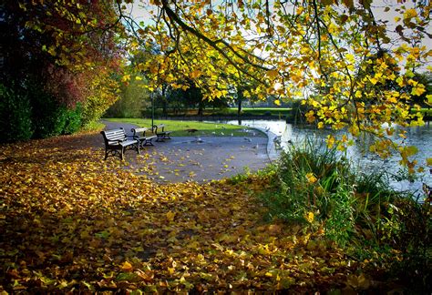 Autumn Park Pond Trees Leaves Landscape Wallpapers Hd Desktop