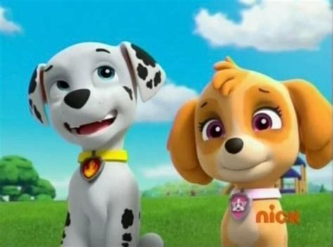 Pin By Christopher Sam On Paw Patrol In 2021 Paw Patrol Pups