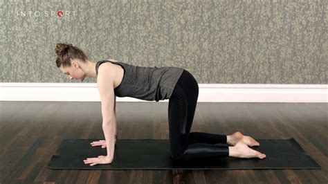Plank Prep Exercise Pilates Youtube