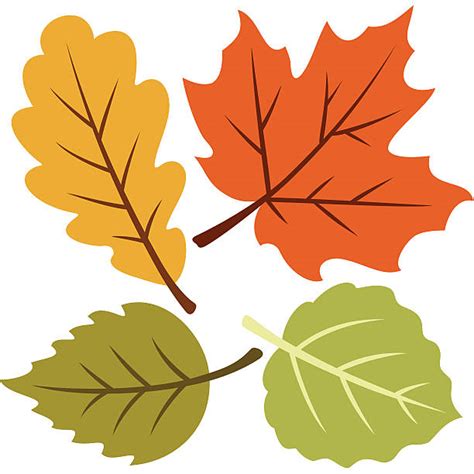 All 97 Images Fall Leaves Pictures Clip Art Completed 102023