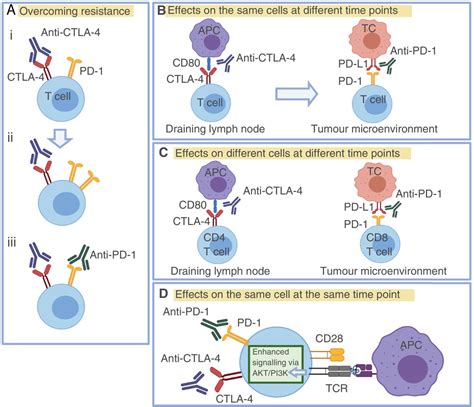 Combined Anti‐pd‐1 And Anti‐ctla‐4 Checkpoint Blockade Treatment Of