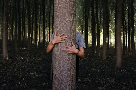 Person Hiding Behind A Tree Trunk · Free Stock Photo