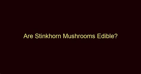 Are Stinkhorn Mushrooms Edible