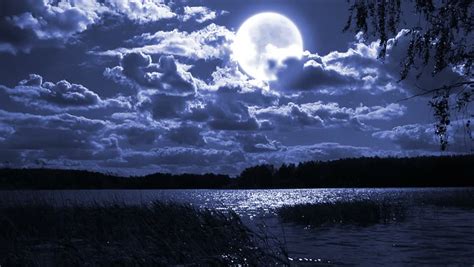 Full Moon Night Landscape With Forest Lake Stock Footage Video 4406759