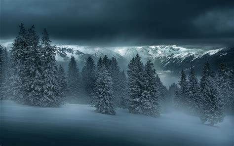 Wallpaper Winter Night Forest Trees Mountains Snow 1920x1200 Hd