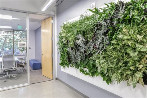 Custom Living Wall Office Entryway Planted Places In 2020 Living