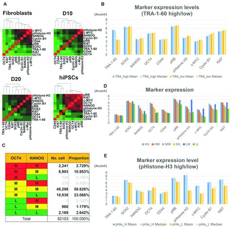 Relationships Among Pluripotency And Cell Cycle Markers In Hipscs A