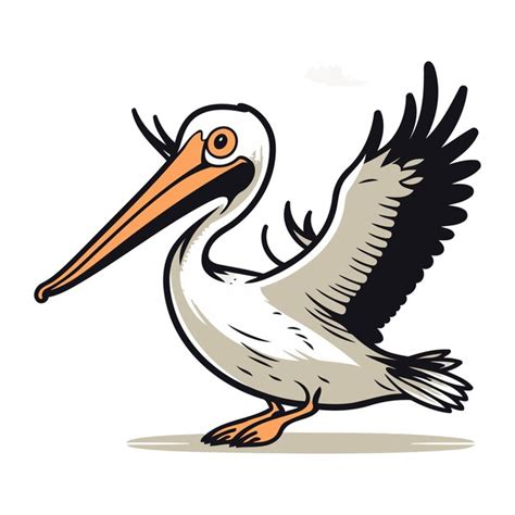 Premium Vector Pelican Bird Isolated On White Background Vector
