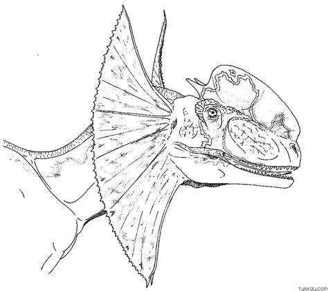 Dilophosaurus Coloring Page Turkau